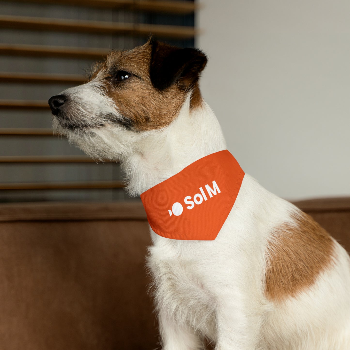 Pet Bandana Collar