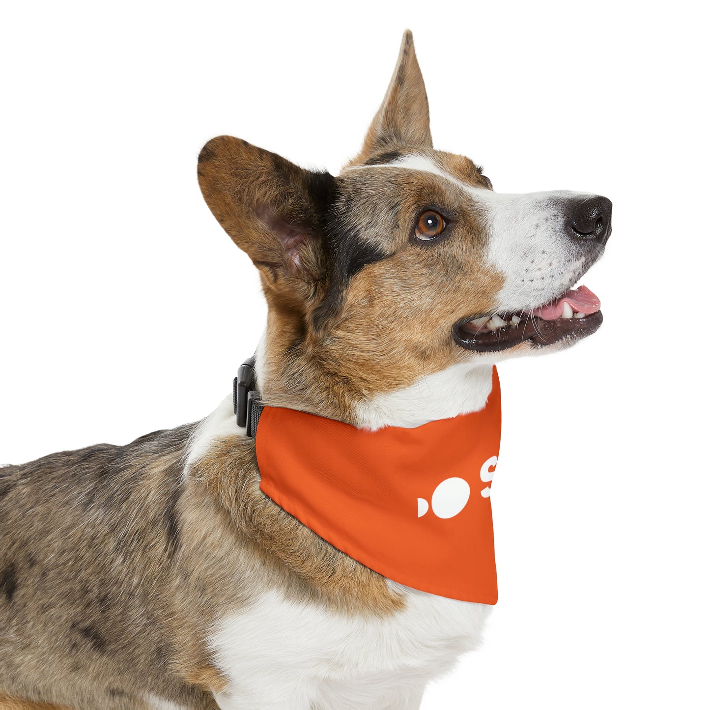 Pet Bandana Collar